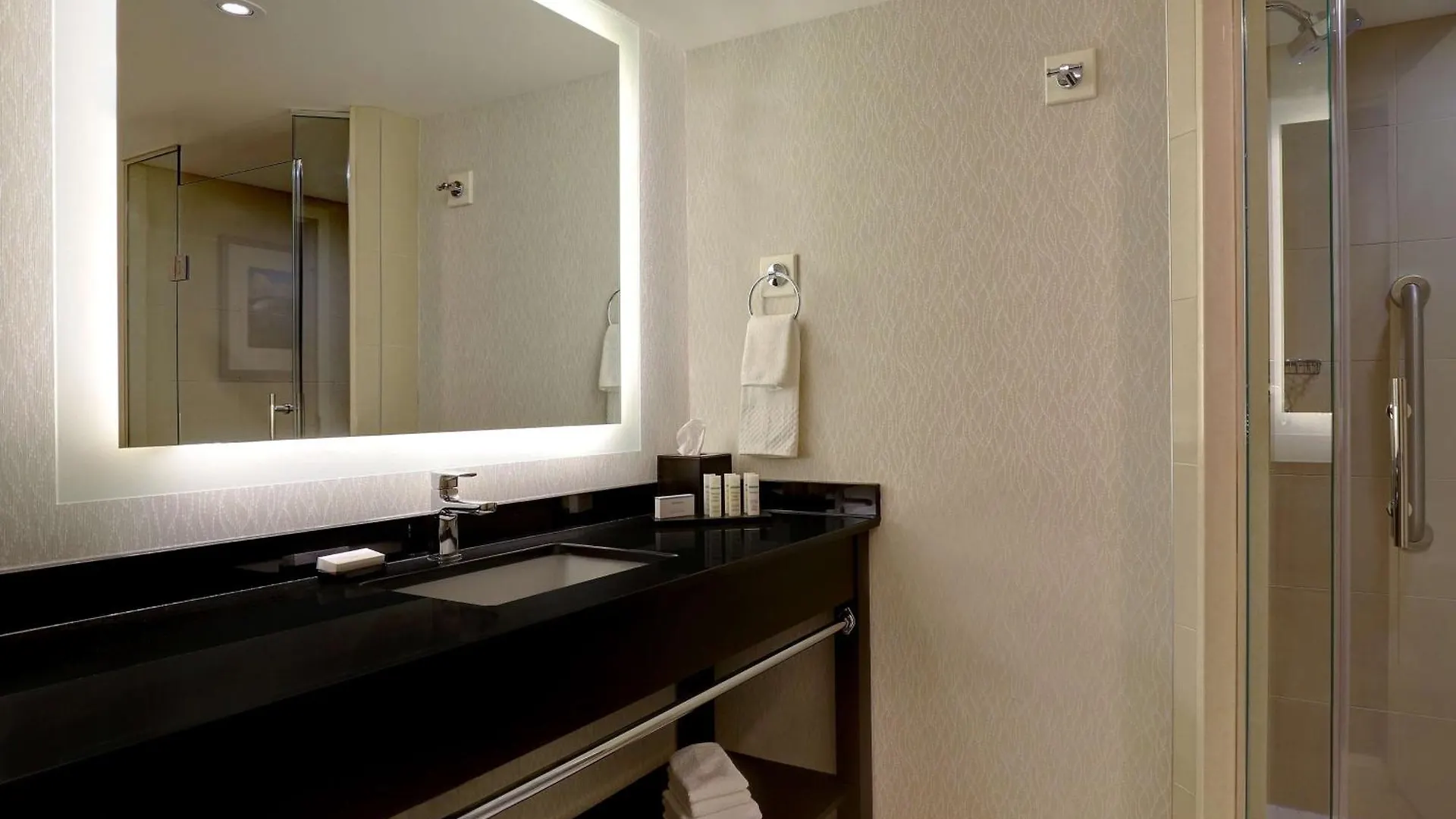 Embassy Suites By Hilton Niagara Falls/ Fallsview Canada